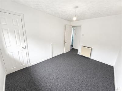 Picture 11